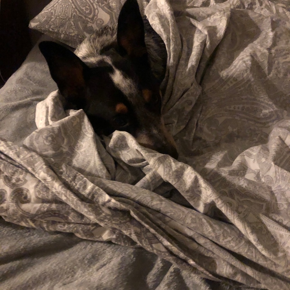 Meet your Posher, Brad